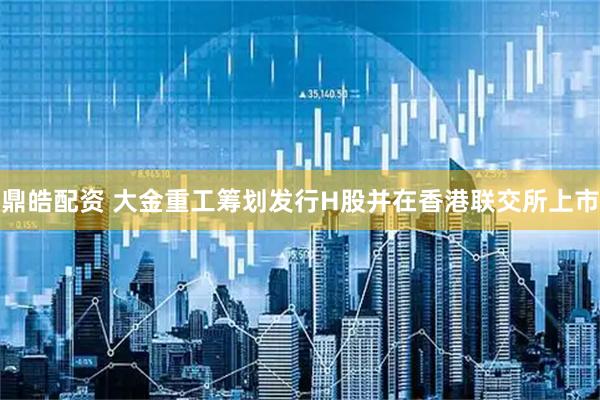 鼎皓配资 大金重工筹划发行H股并在香港联交所上市
