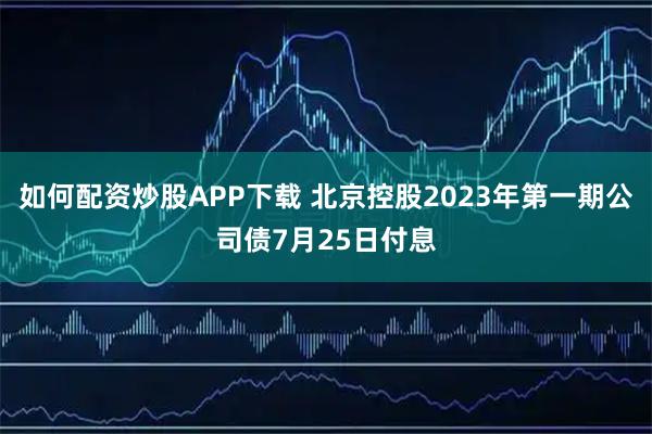 如何配资炒股APP下载 北京控股2023年第一期公司债7月25日付息