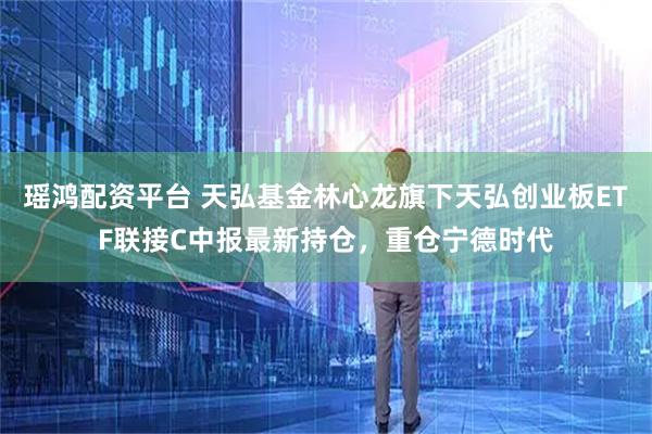 瑶鸿配资平台 天弘基金林心龙旗下天弘创业板ETF联接C中报最新持仓，重仓宁德时代