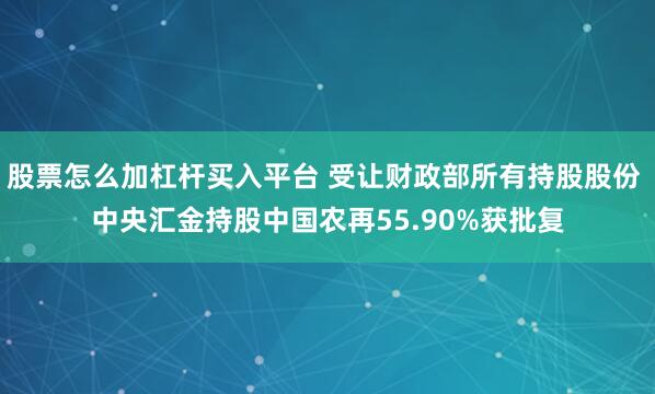 股票怎么加杠杆买入平台 受让财政部所有持股股份 中央汇金持股中国农再55.90%获批复