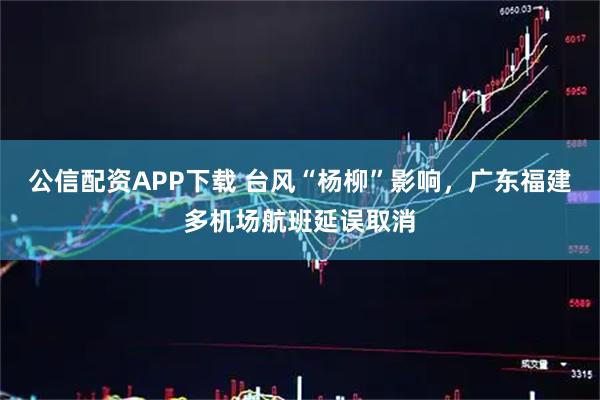 公信配资APP下载 台风“杨柳”影响，广东福建多机场航班延误取消