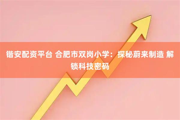 锴安配资平台 合肥市双岗小学：探秘蔚来制造 解锁科技密码